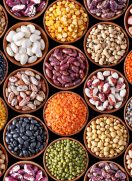 Grain Legumes: Common Names and Scientific Names