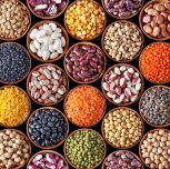 Grain Legumes: Common Names and Scientific Names