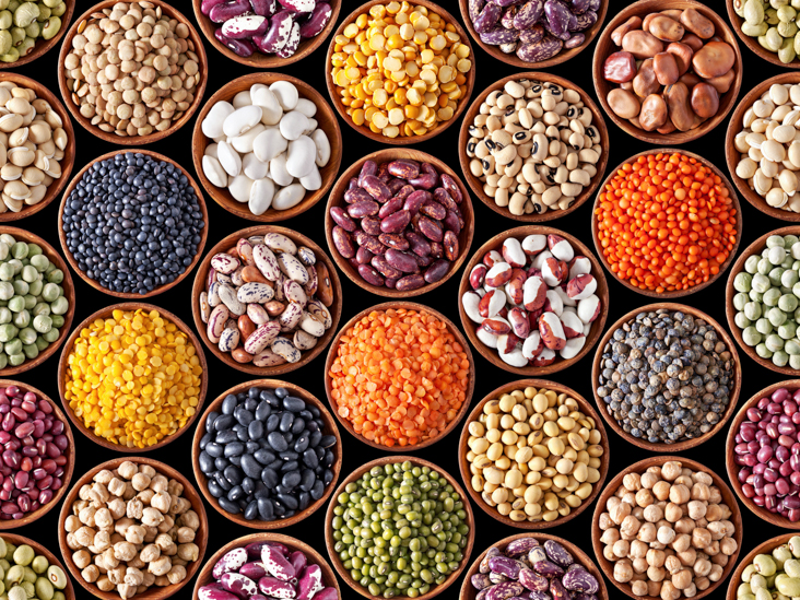 Grain Legumes: Common Names and Scientific Names