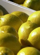 Limones: cómo es el mercado en el que la Argentina es líder mundial