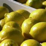 Limones: cómo es el mercado en el que la Argentina es líder mundial