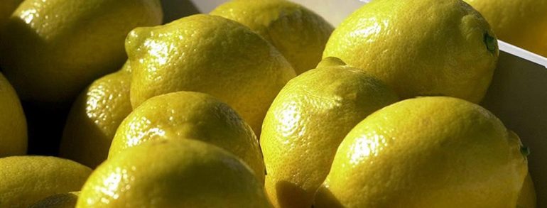 Limones: cómo es el mercado en el que la Argentina es líder mundial